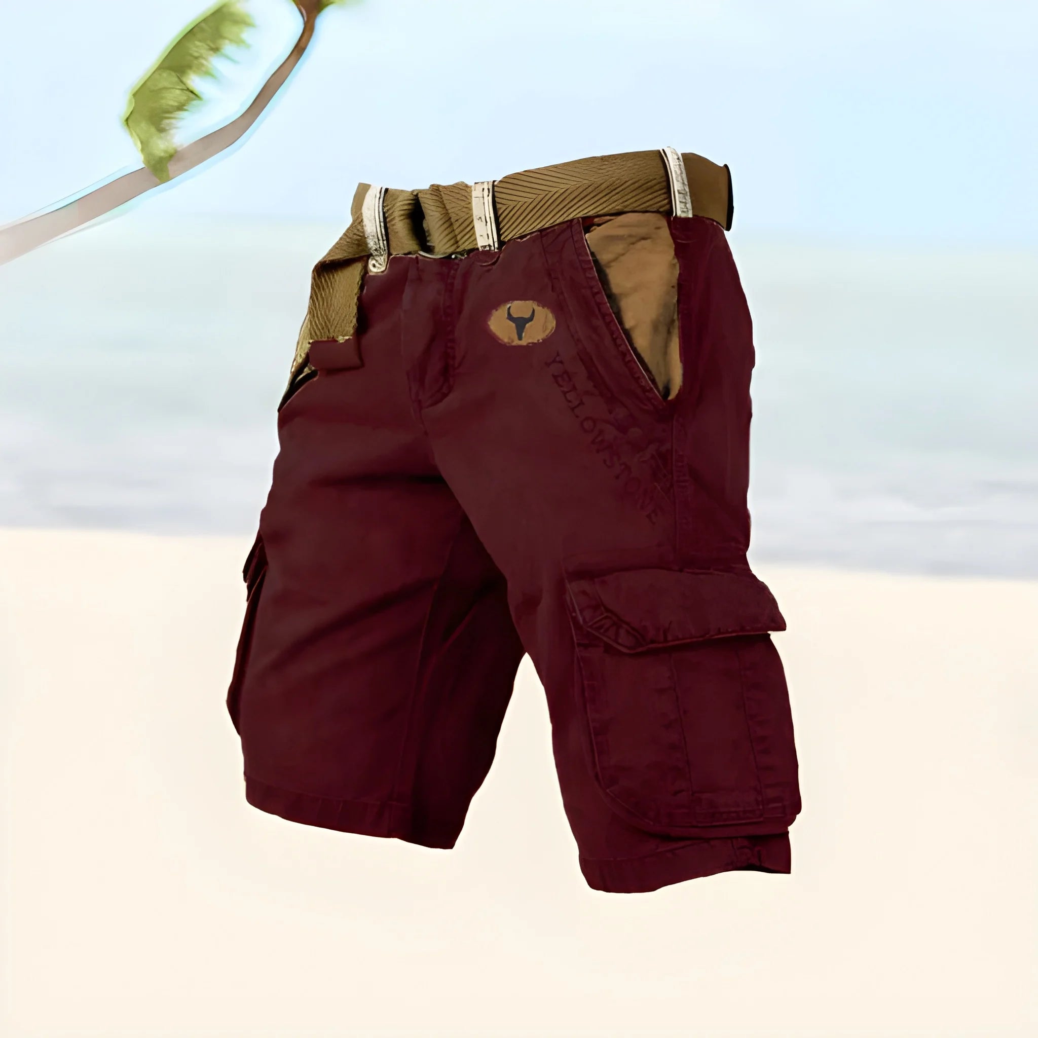 Men's Cargo  Everyday Shorts with Pockets